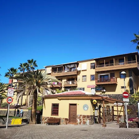 公寓 Canarian 美洲海滩